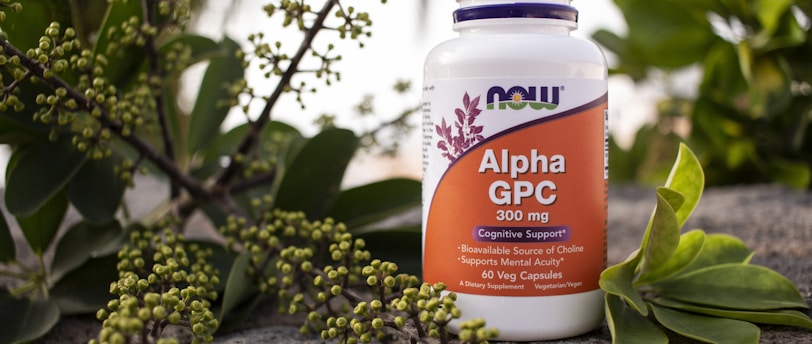 Alpha-Lipoic Acid (ALA): A Powerful Antioxidant for Aging Skin